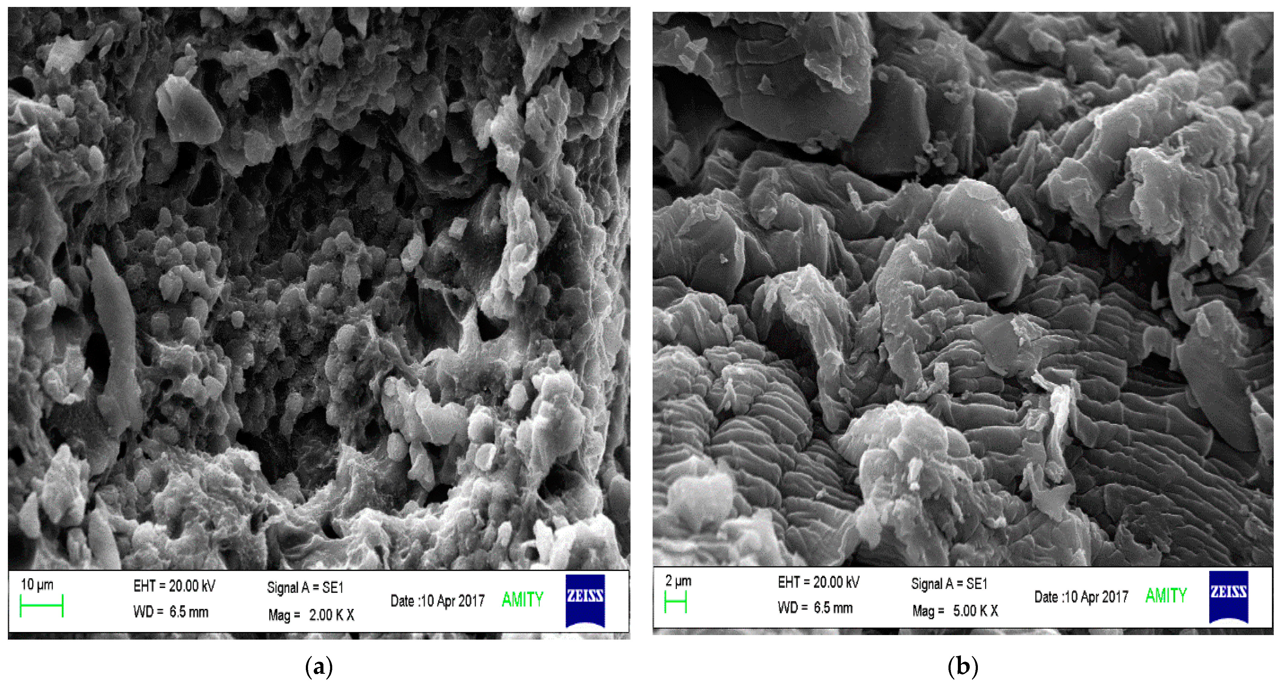 Polymers 14 01037 g005 Polymers 14 01037 g005