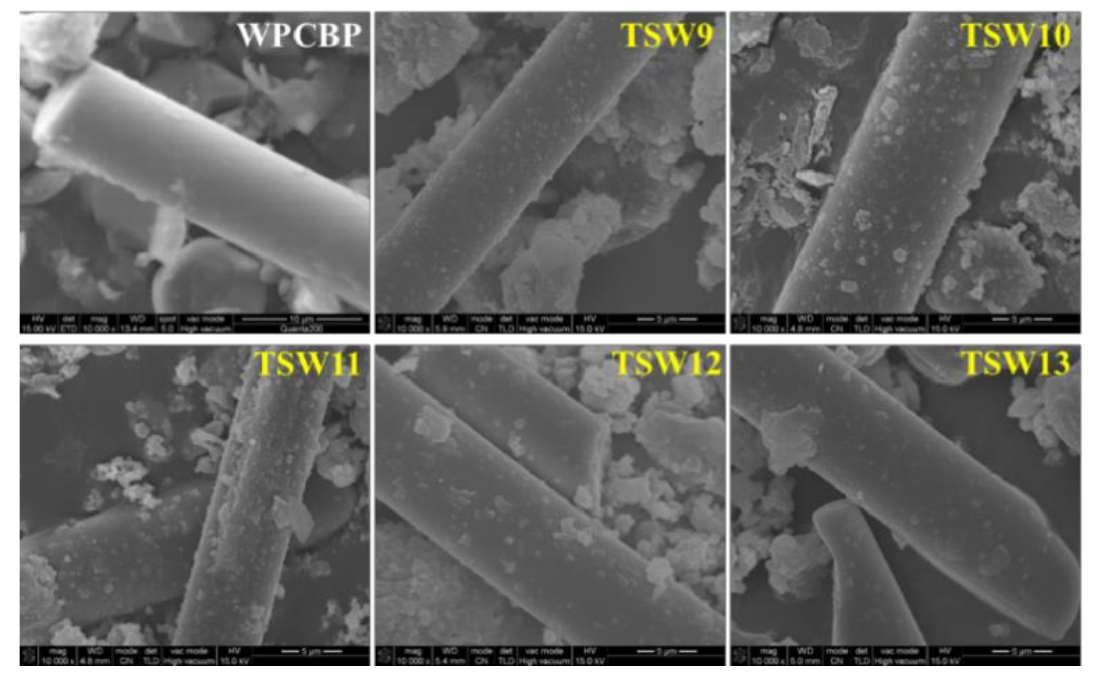 Polymers 14 01045 g002