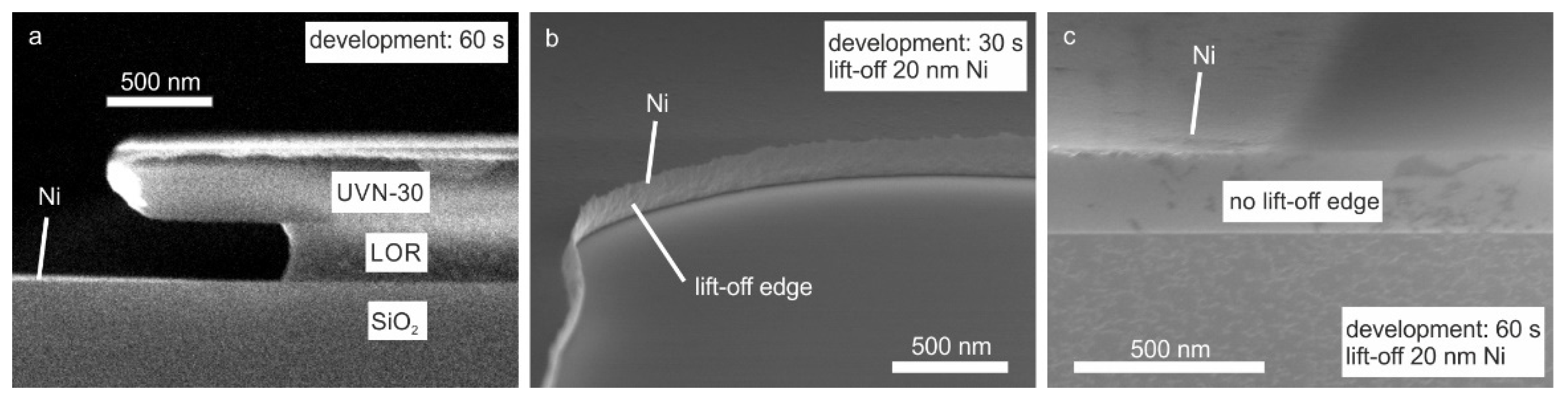 Polymers 14 01046 g002