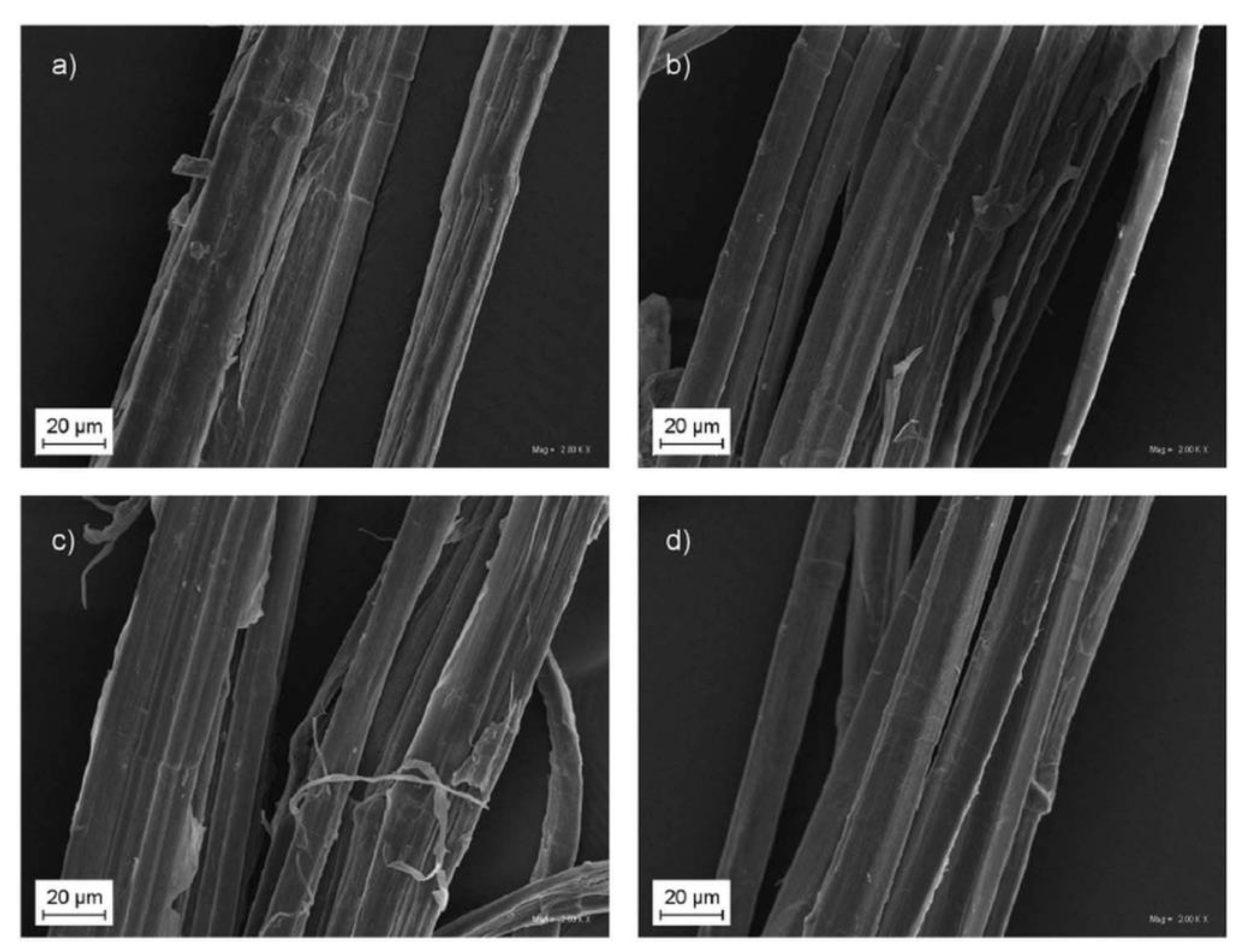 Polymers 14 01050 g002