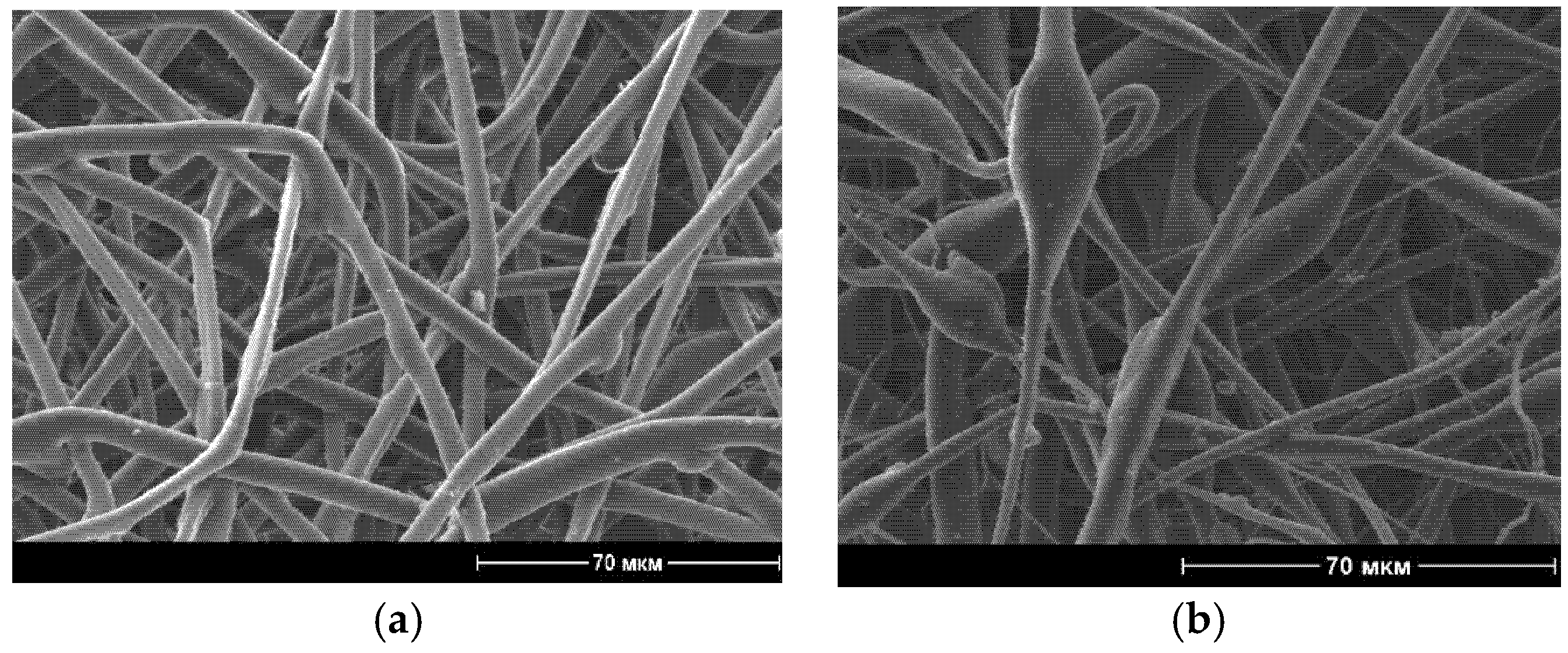 Polymers 14 01058 g001a