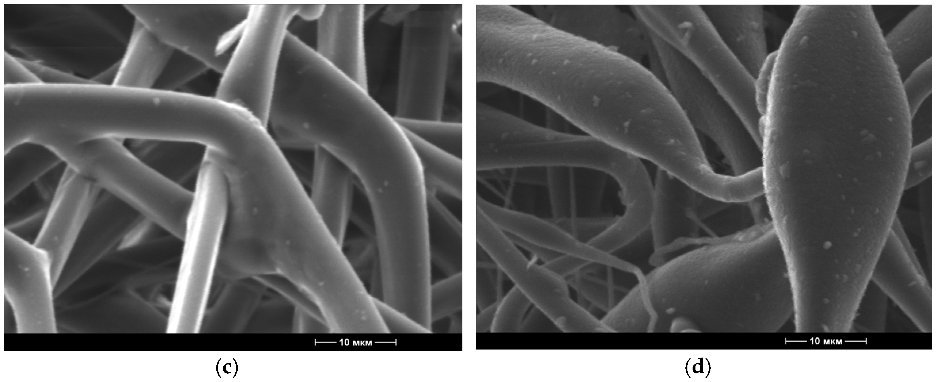 Polymers 14 01058 g001b