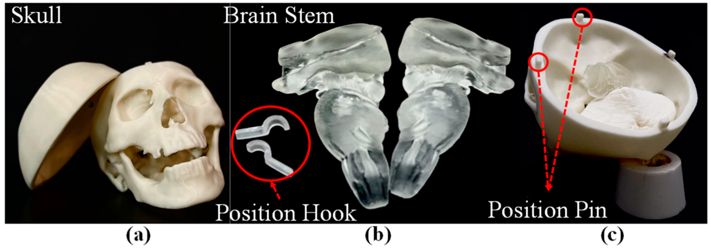 Polymers 14 01072 g001