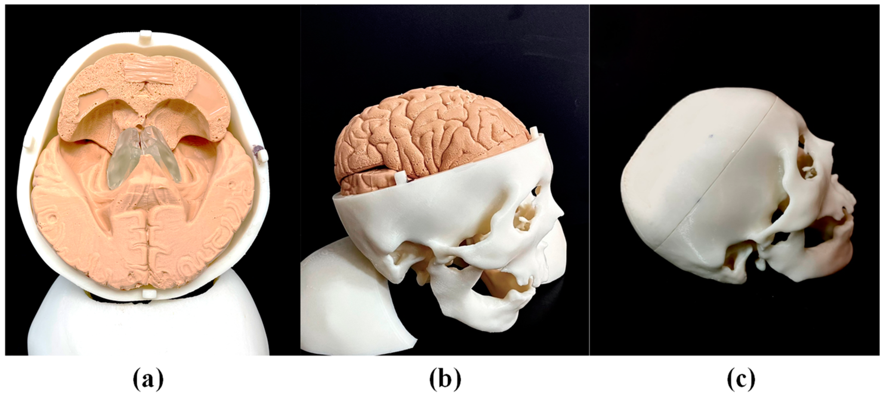 Polymers 14 01072 g004