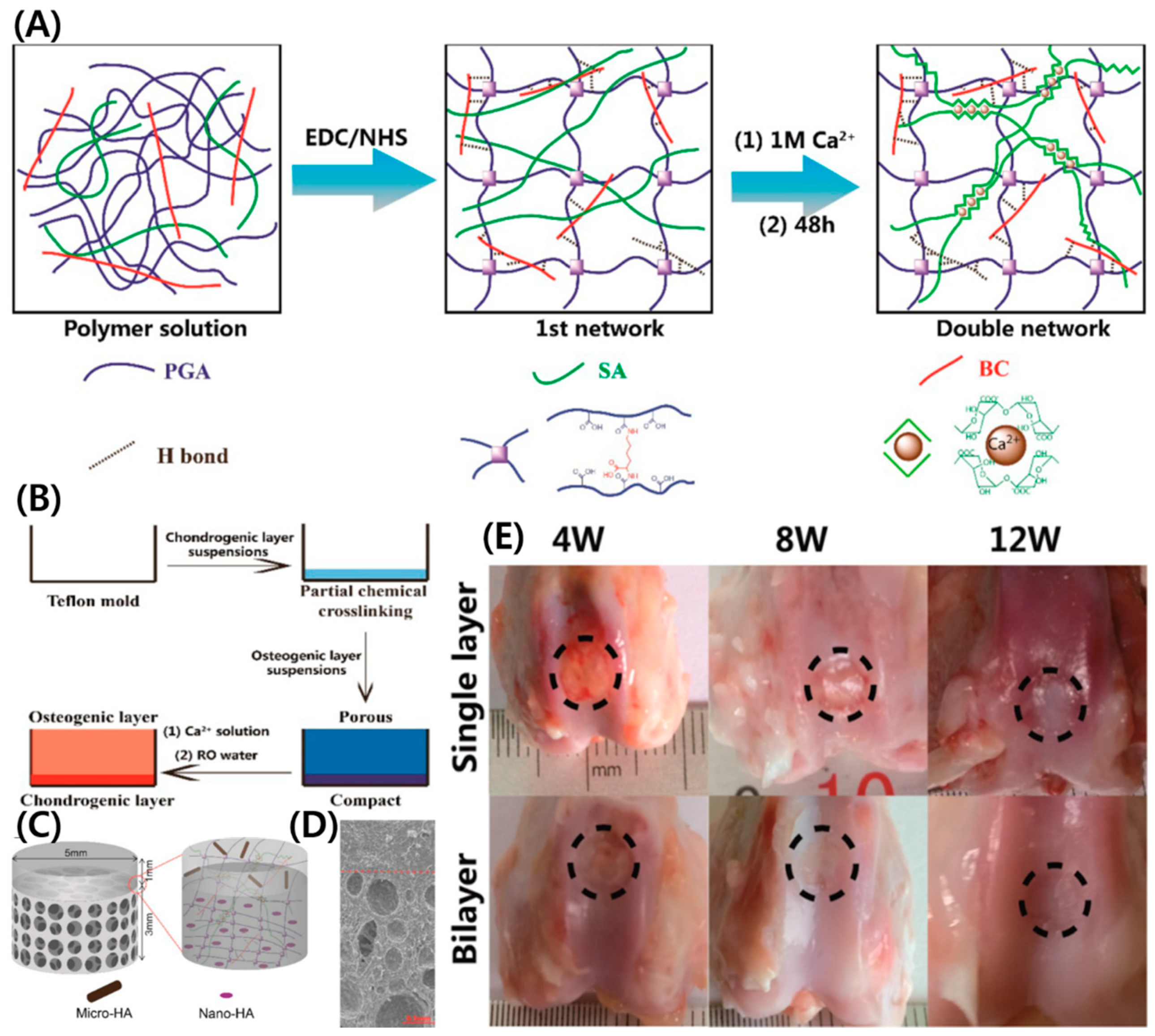 Polymers 14 01080 g003
