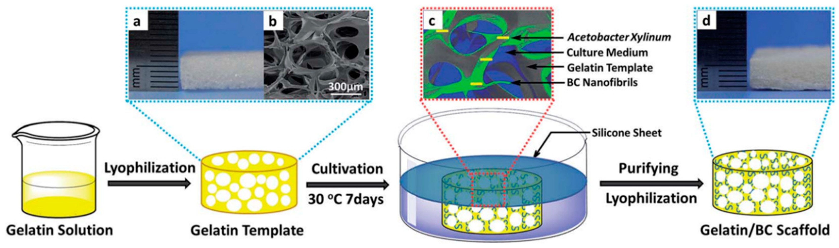 Polymers 14 01080 g005