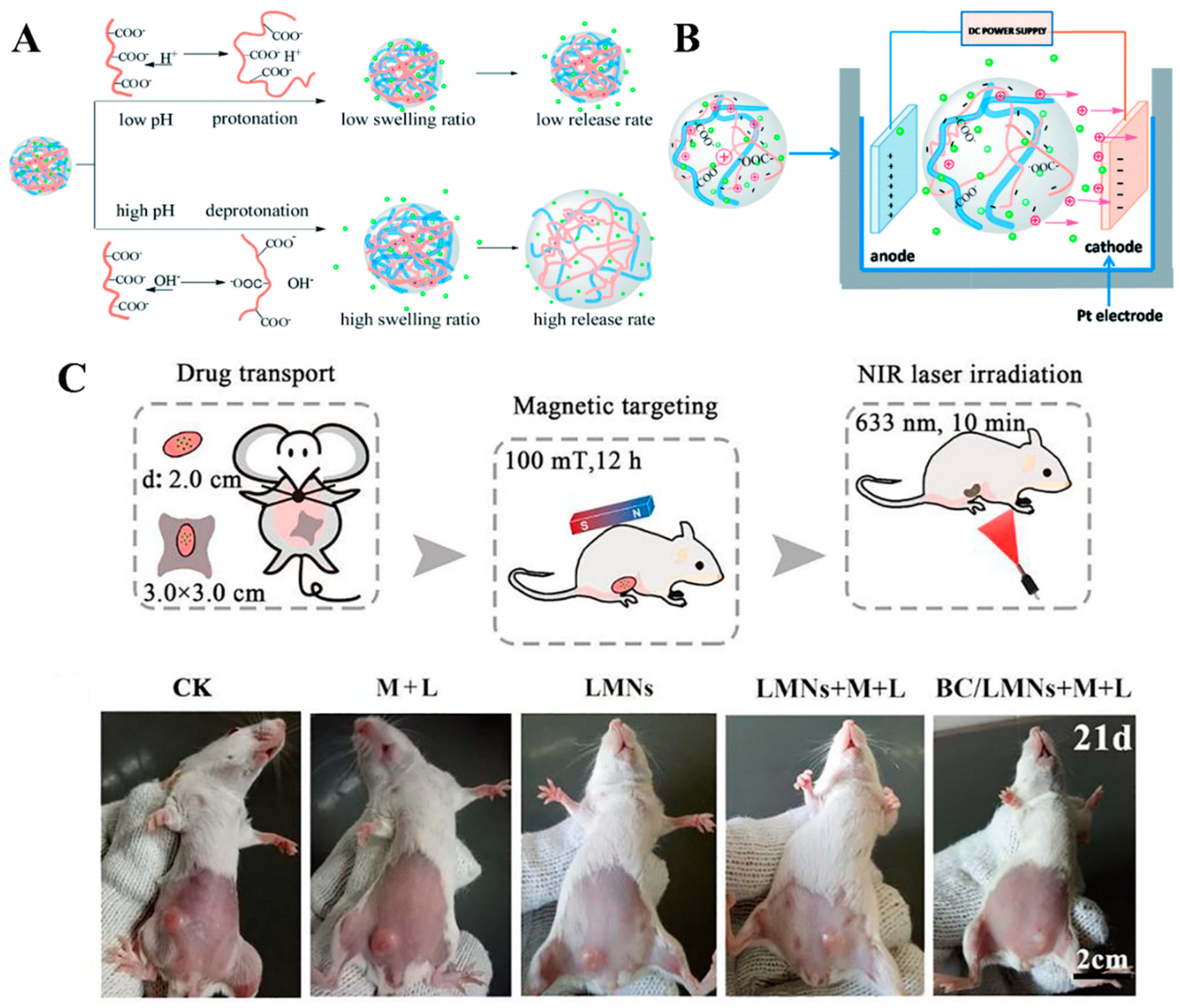 Polymers 14 01080 g007