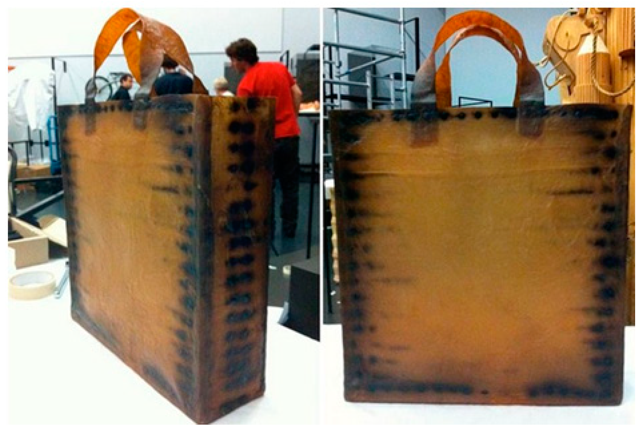 Polymers 14 01080 g009