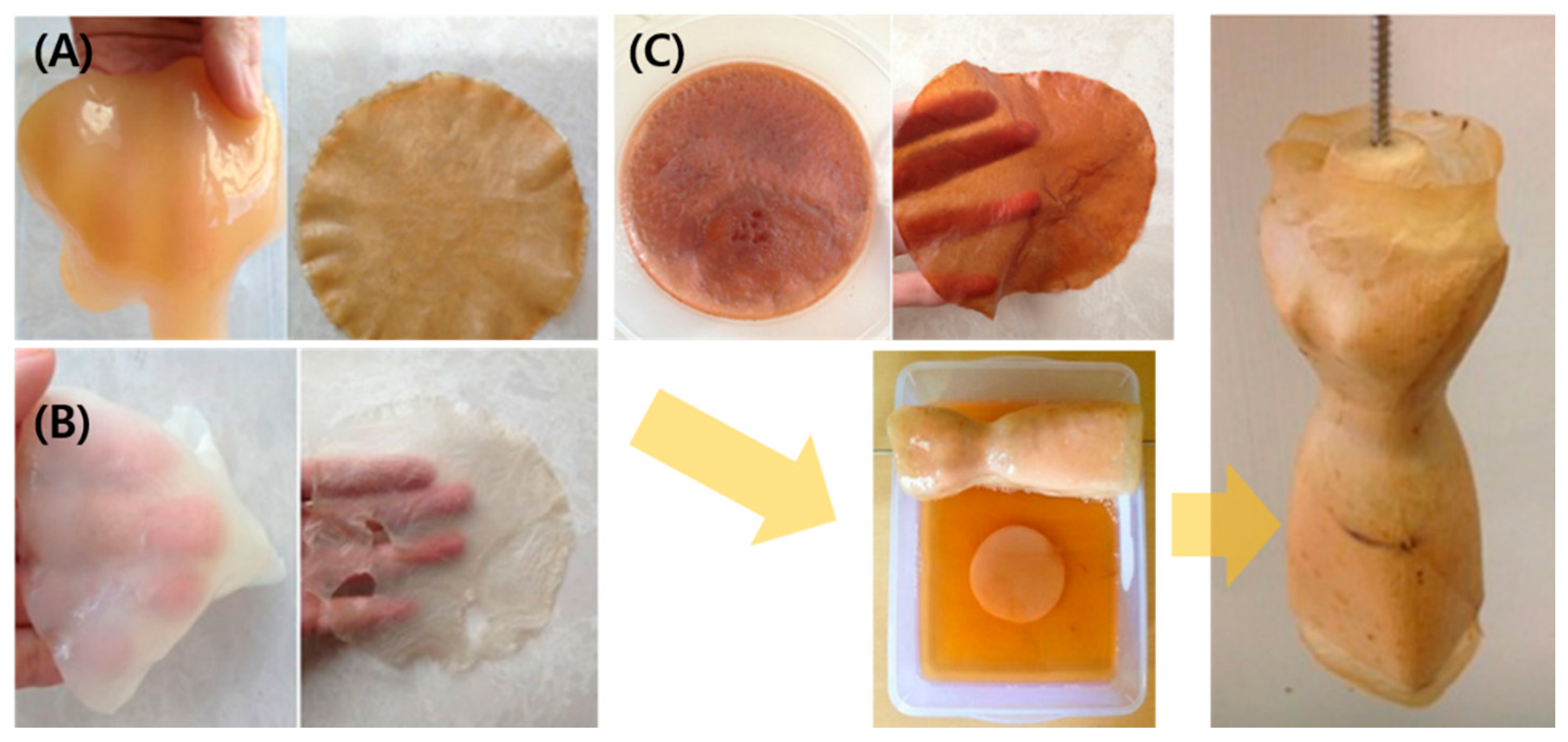 Polymers 14 01080 g013