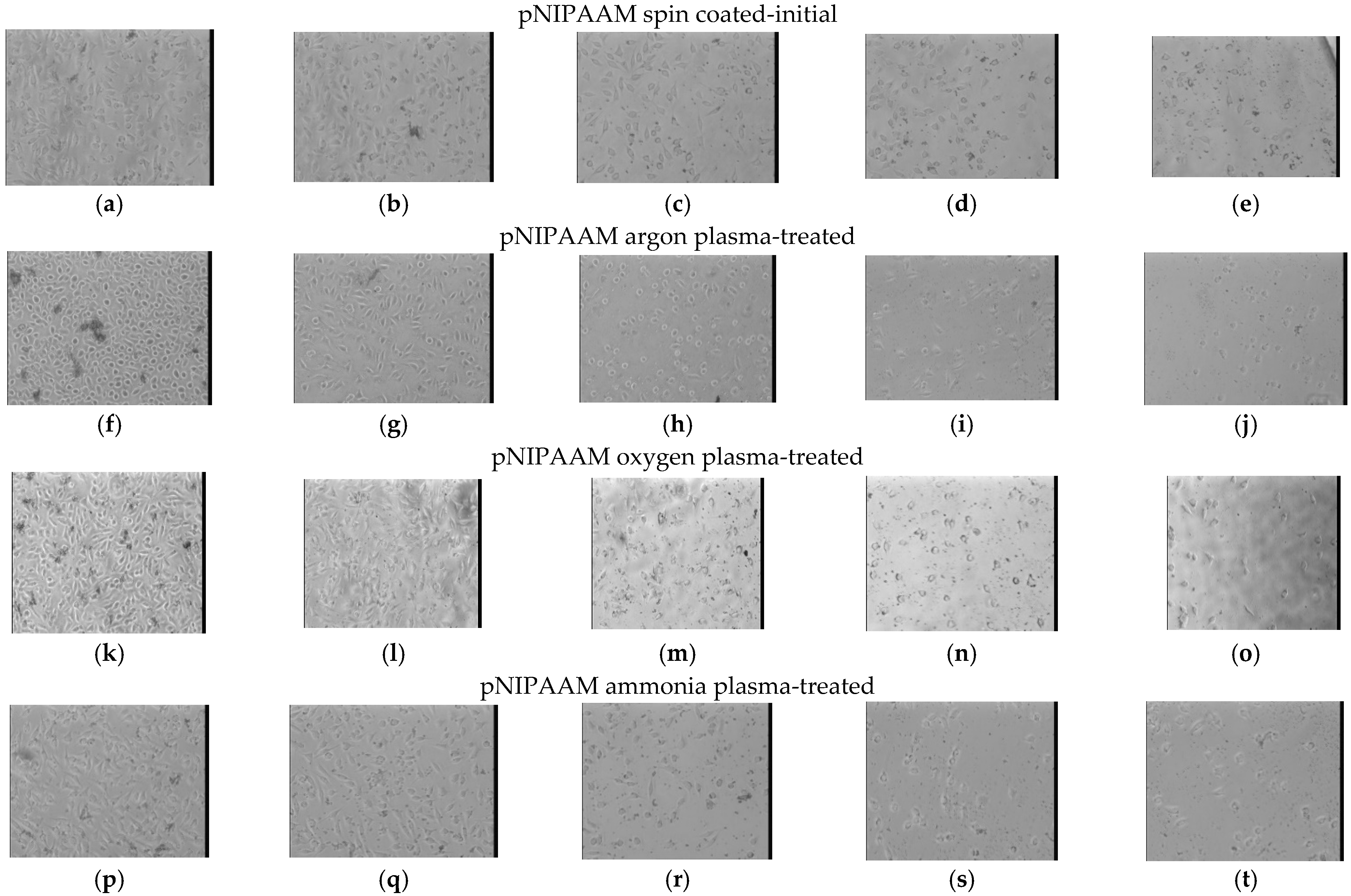 Polymers 14 01081 g011 Polymers 14 01081 g011