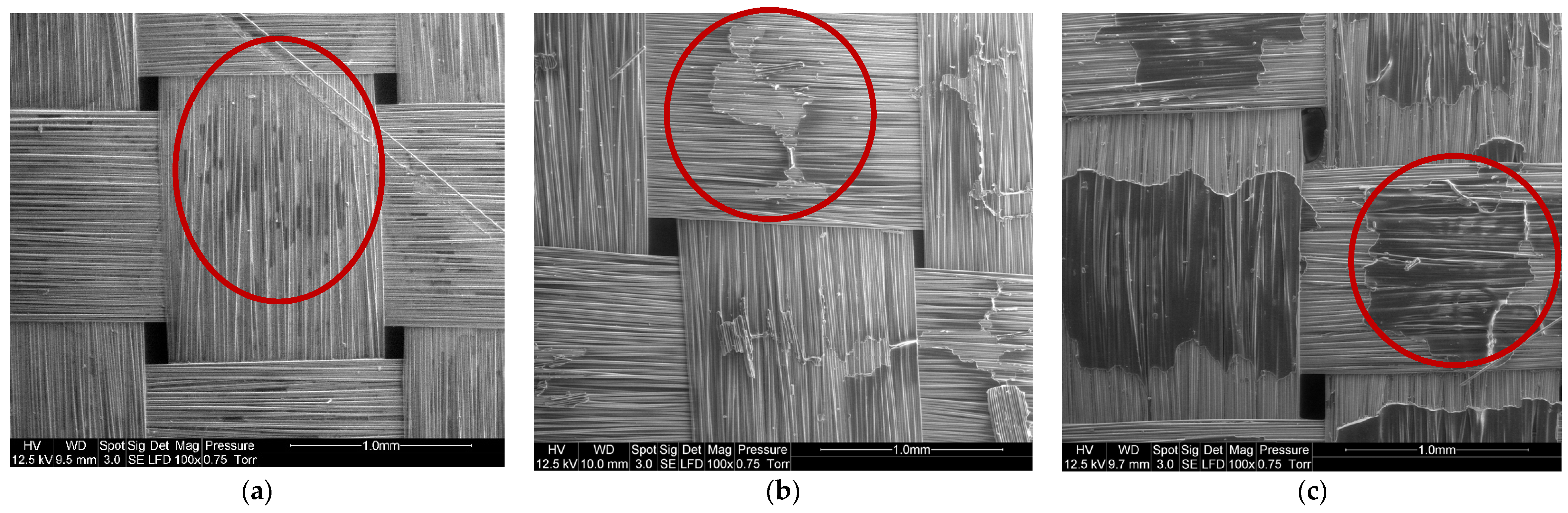 Polymers 14 01083 g010