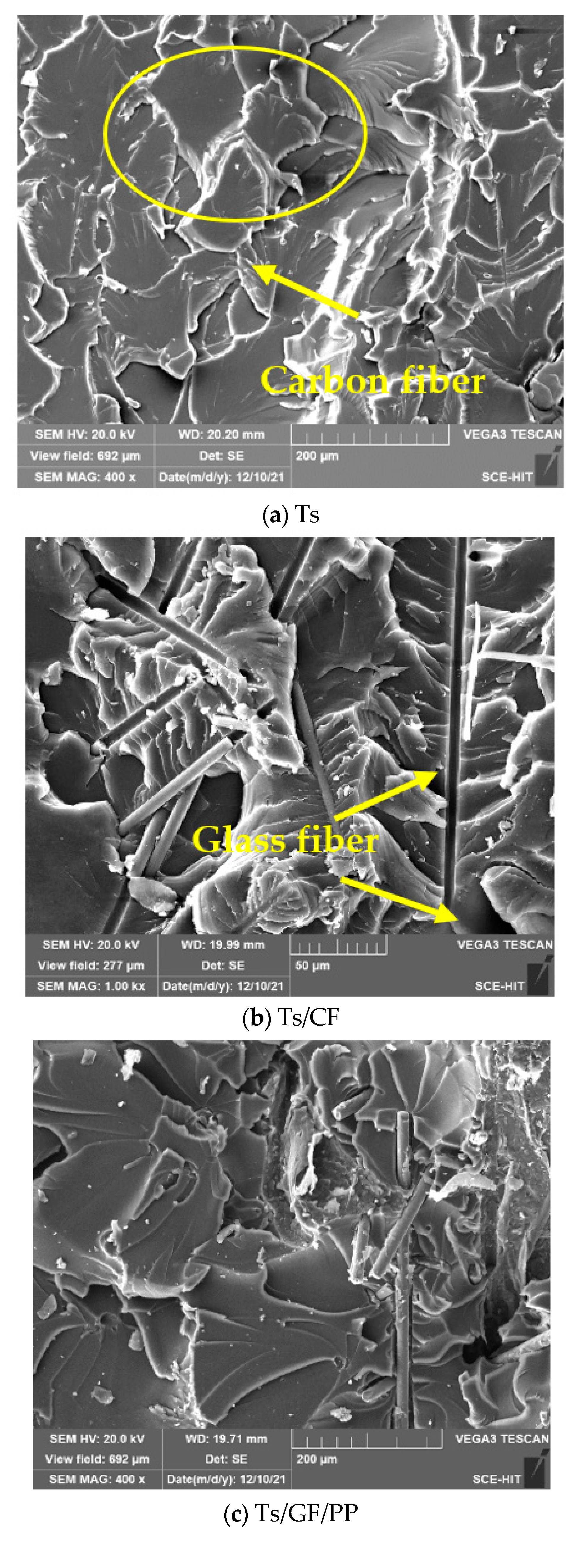 Polymers, Free Full-Text