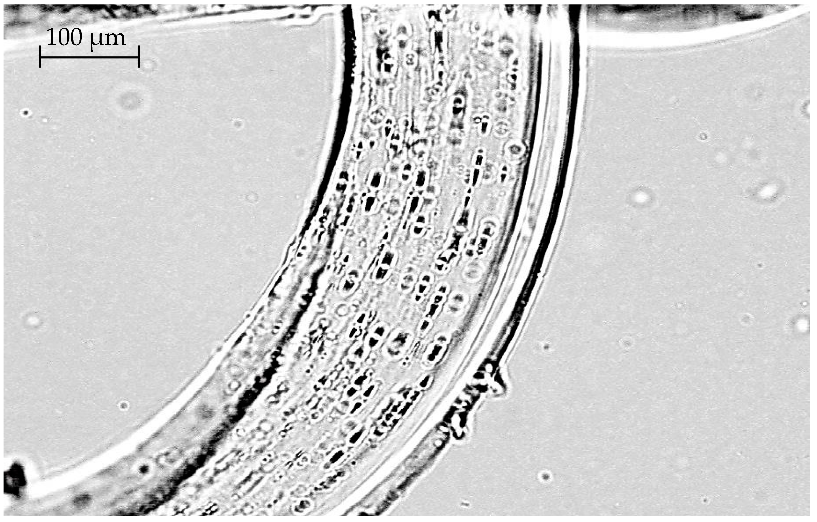 Polymers 14 01097 g007