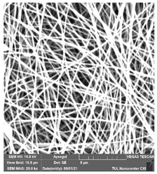 Polymers 14 01102 i006 Polymers 14 01102 i006