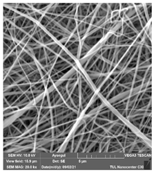 Polymers 14 01102 i007 Polymers 14 01102 i007