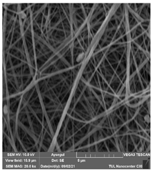 Polymers 14 01102 i009 Polymers 14 01102 i009