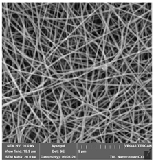 Polymers 14 01102 i012 Polymers 14 01102 i012