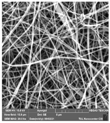 Polymers 14 01102 i026 Polymers 14 01102 i026