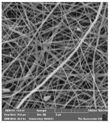 Polymers 14 01102 i027 Polymers 14 01102 i027