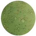 Polymers 14 01122 i001