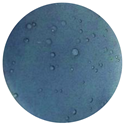 Polymers 14 01122 i006