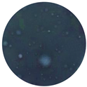 Polymers 14 01122 i010