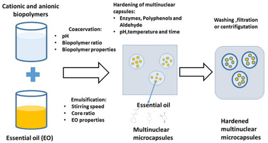 Polymers, Free Full-Text