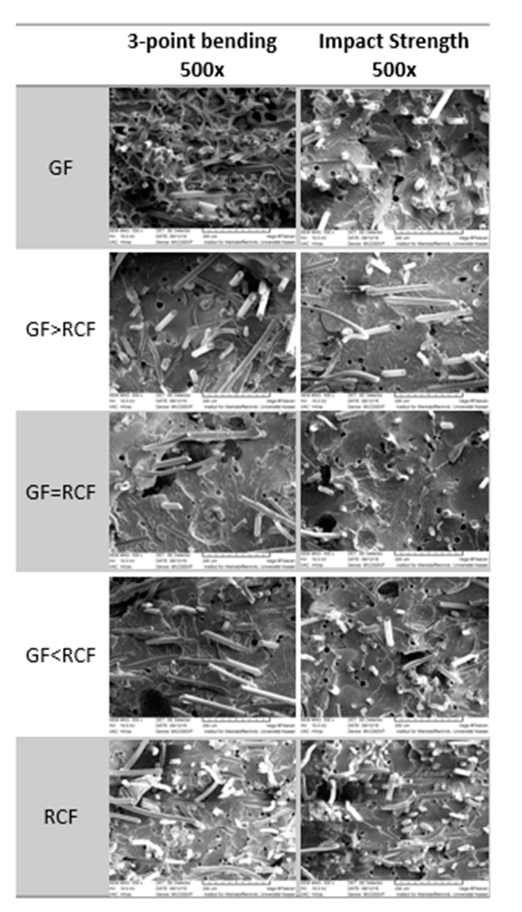 Polymers 14 01149 g005