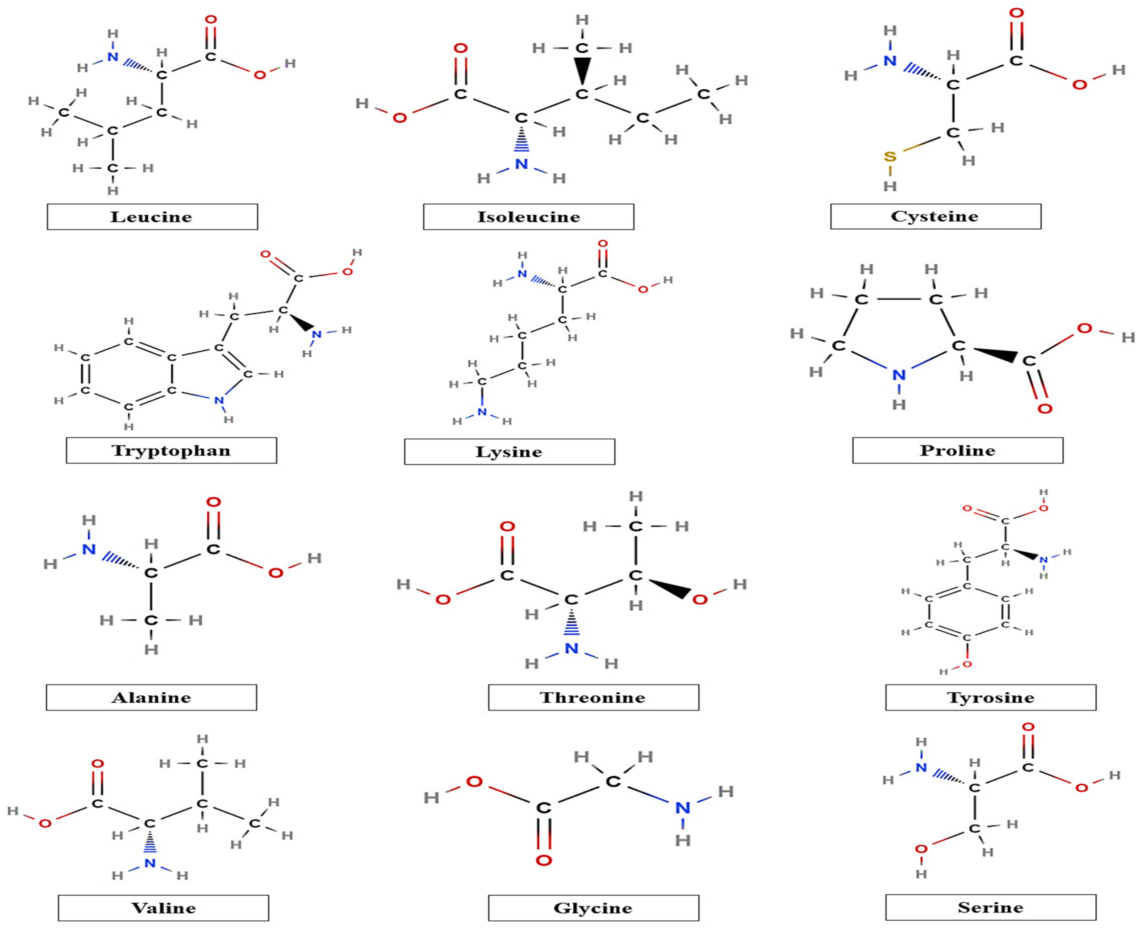 Polymers 14 01163 g002 Polymers 14 01163 g002