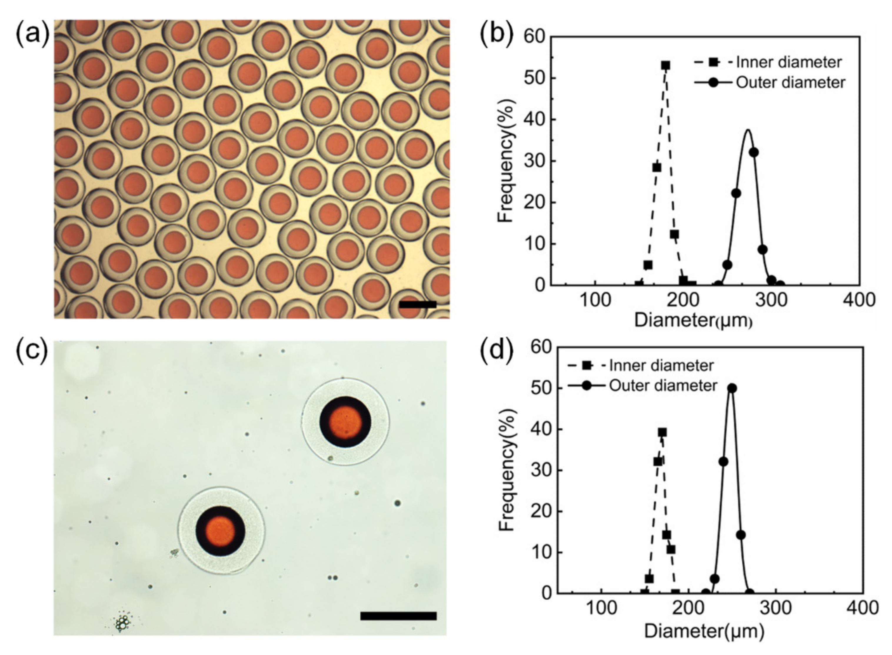 Polymers 14 01165 g007