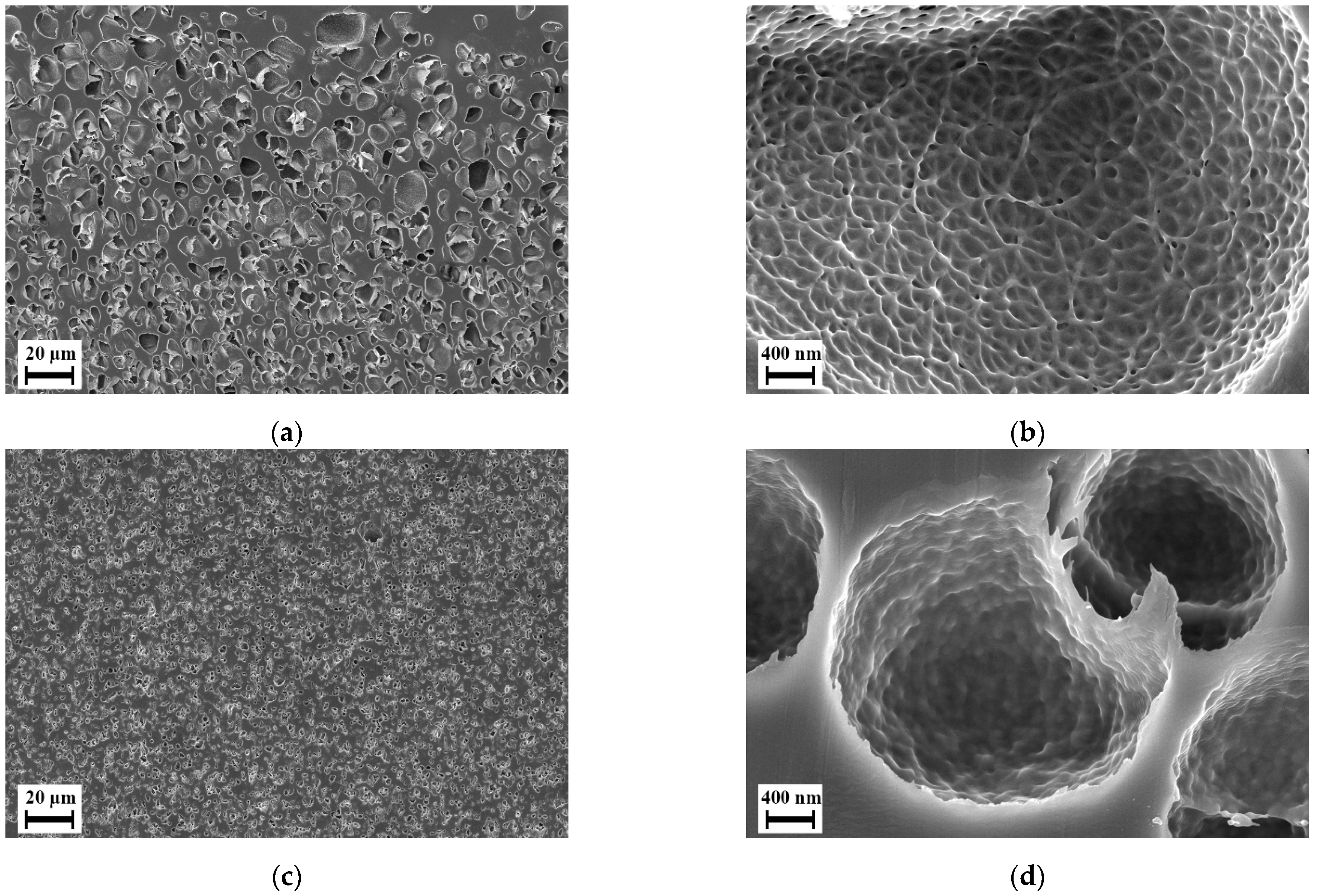 Polymers 14 01177 g006 Polymers 14 01177 g006