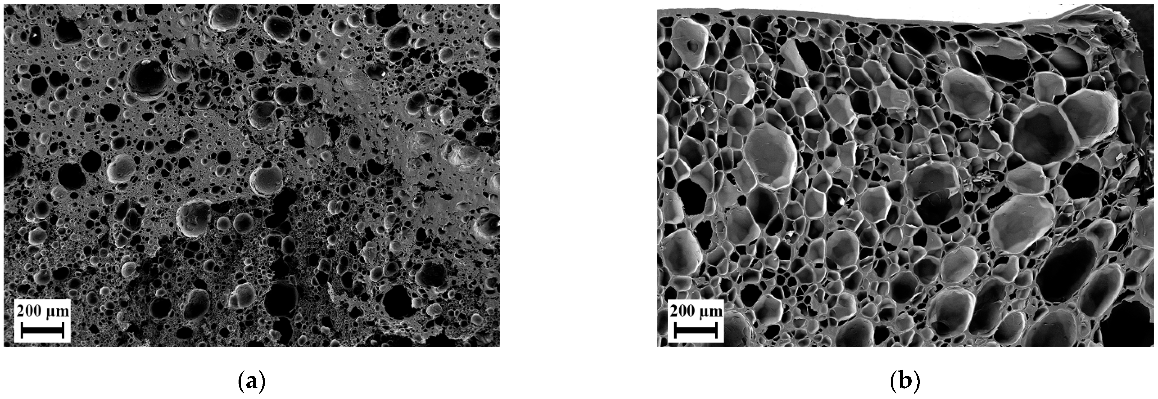 Polymers 14 01177 g007 Polymers 14 01177 g007
