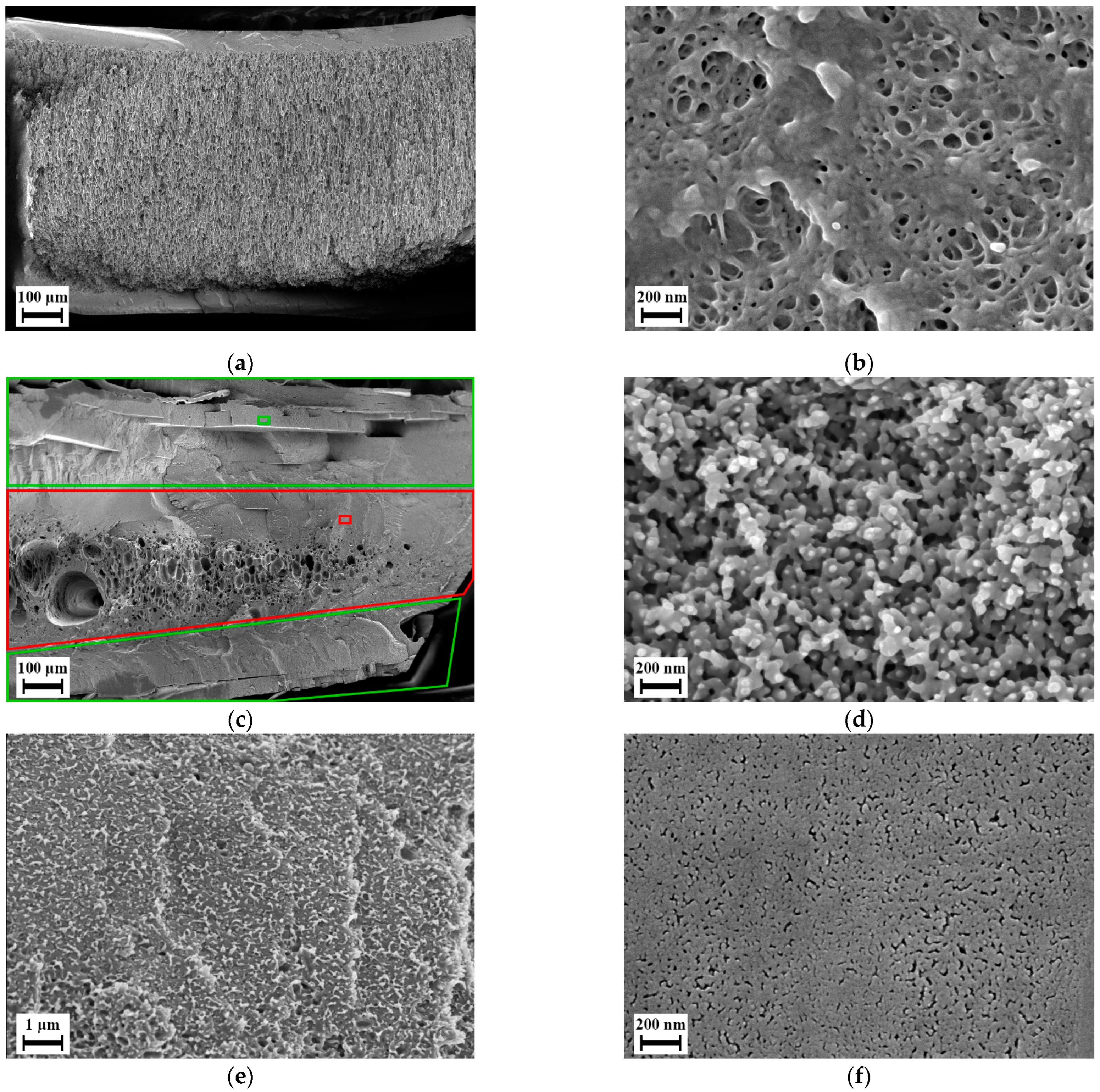 Polymers 14 01177 g010 Polymers 14 01177 g010