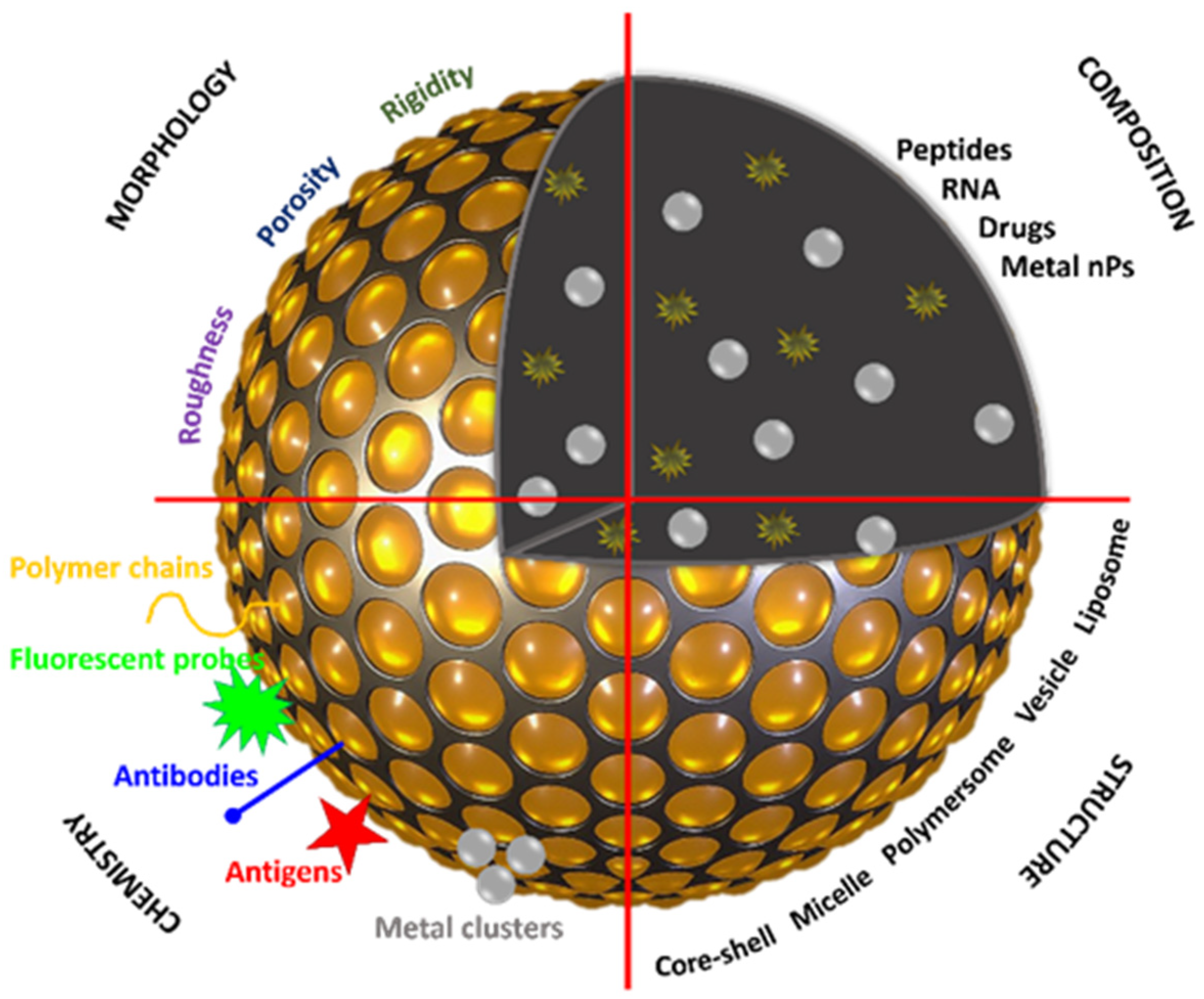 Polymers 14 01188 g002