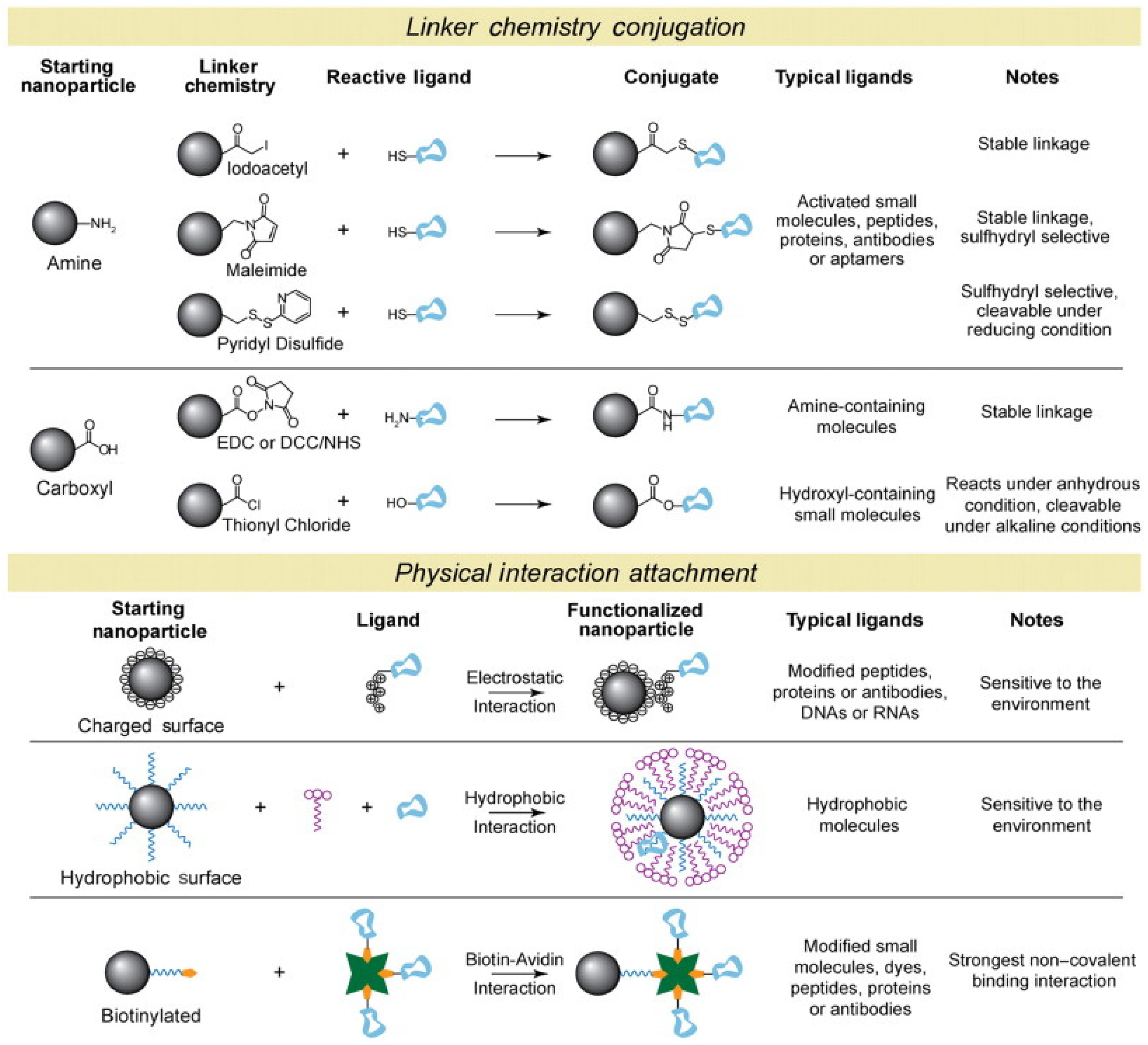 Polymers 14 01188 g003b