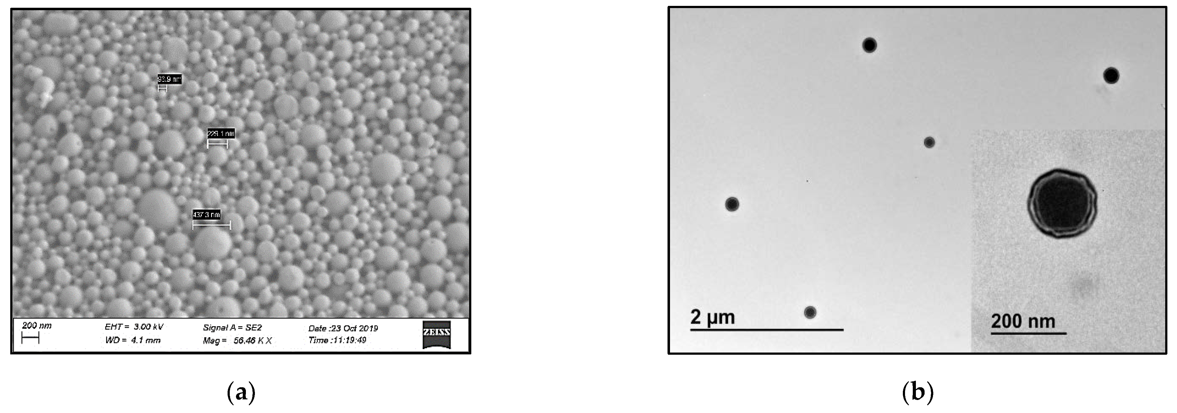 Polymers 14 01196 g002 Polymers 14 01196 g002