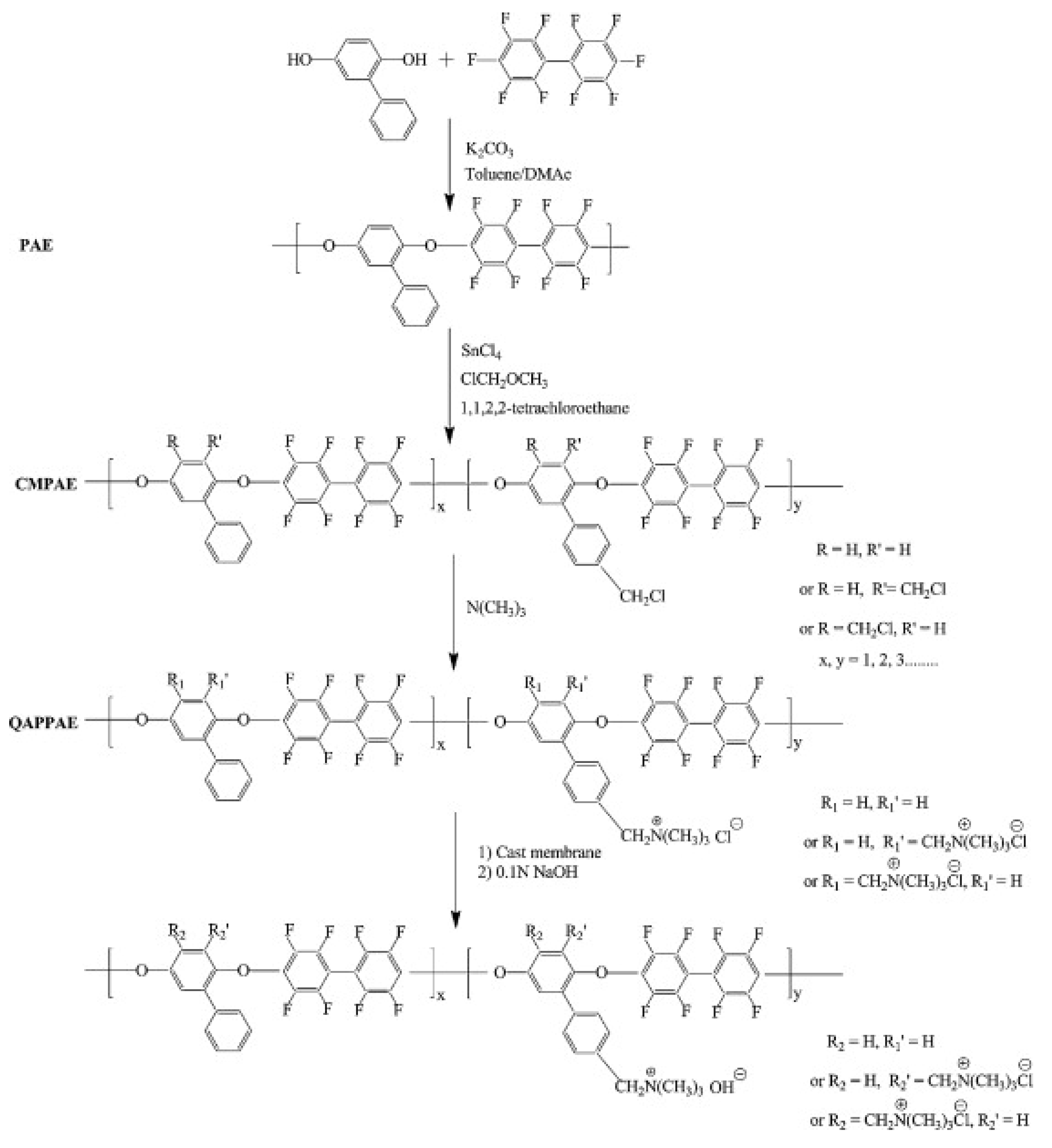 Polymers 14 01197 g003 Polymers 14 01197 g003