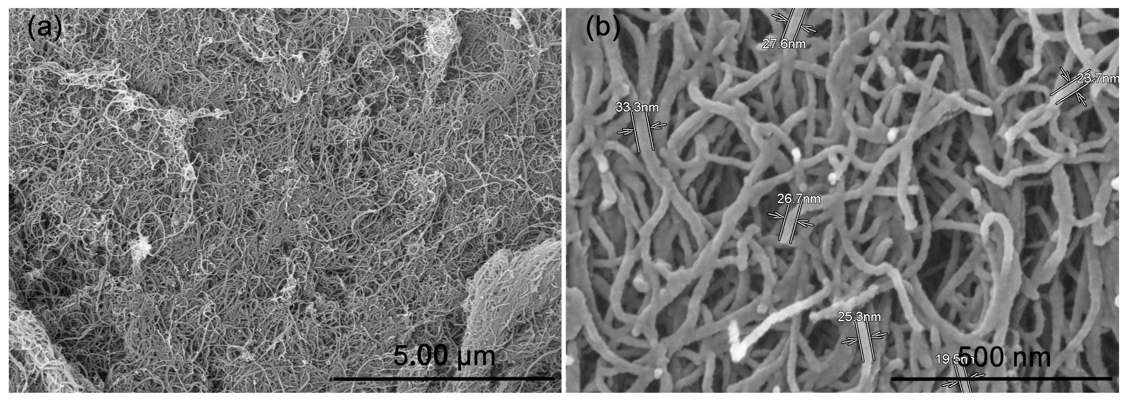 Polymers 14 01205 g001