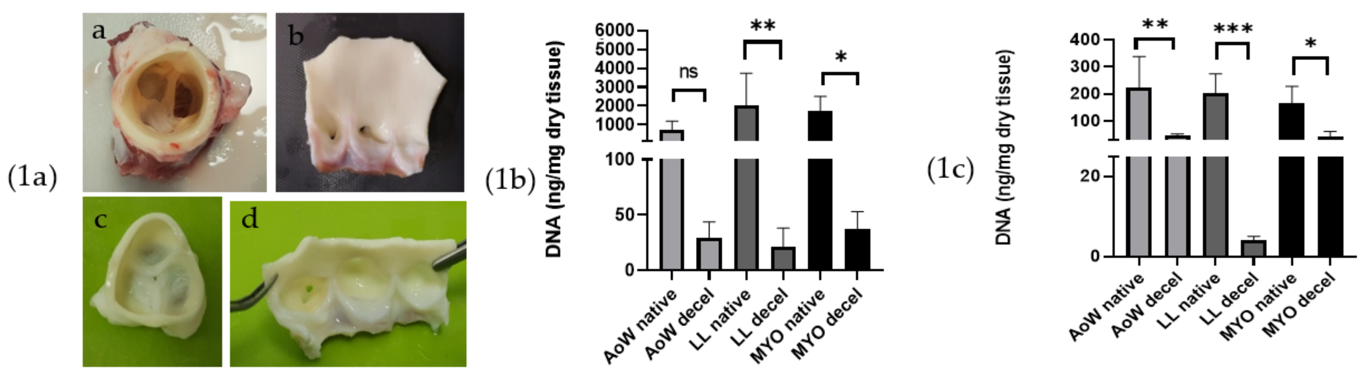 Polymers 14 01226 g001