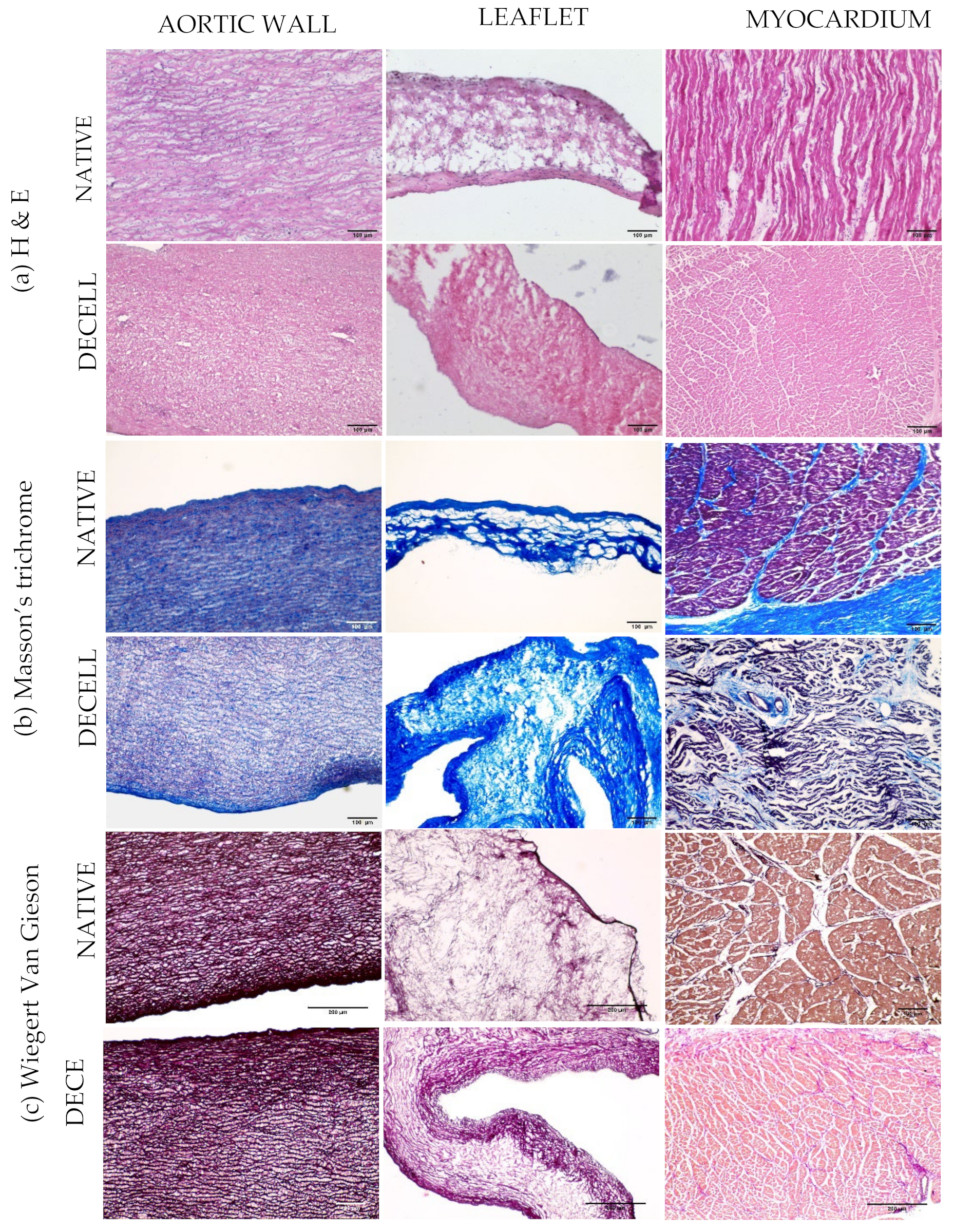 Polymers 14 01226 g004