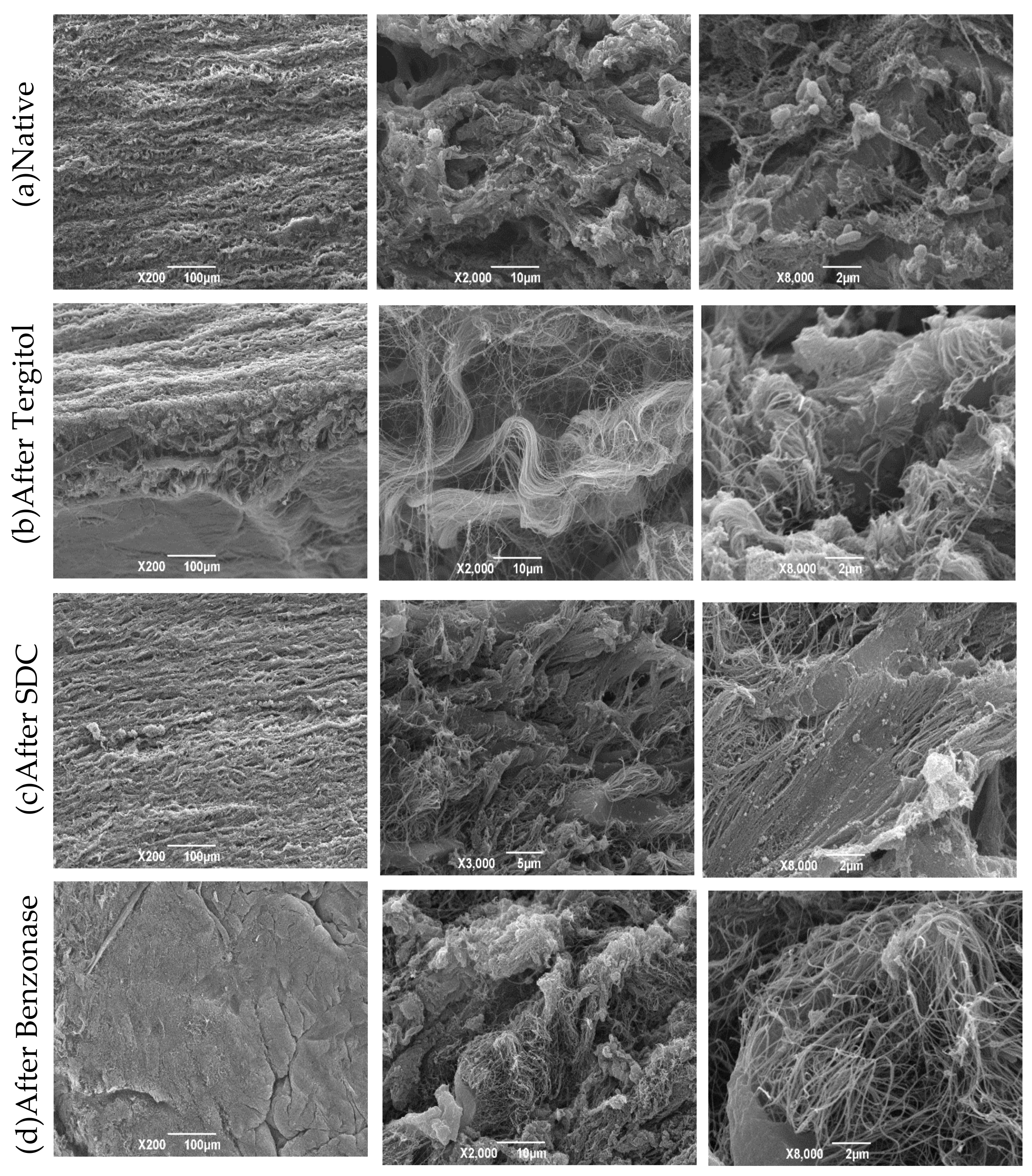 Polymers 14 01226 g007