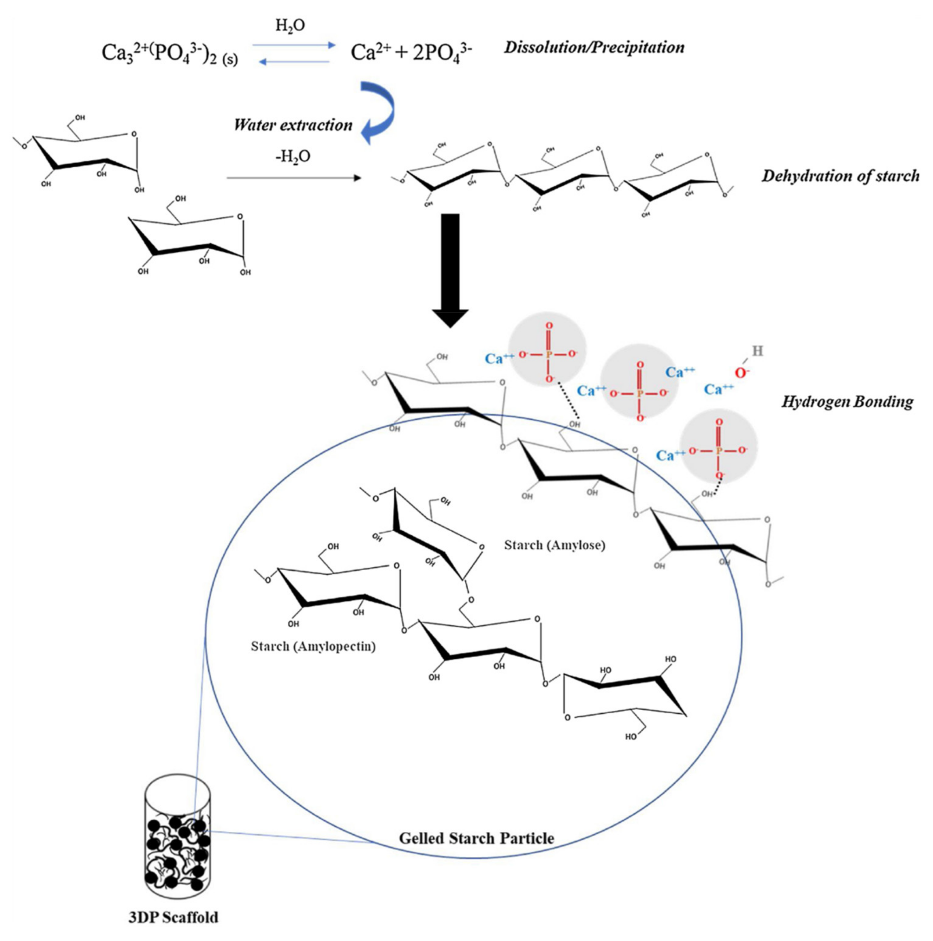 Polymers 14 01235 g005