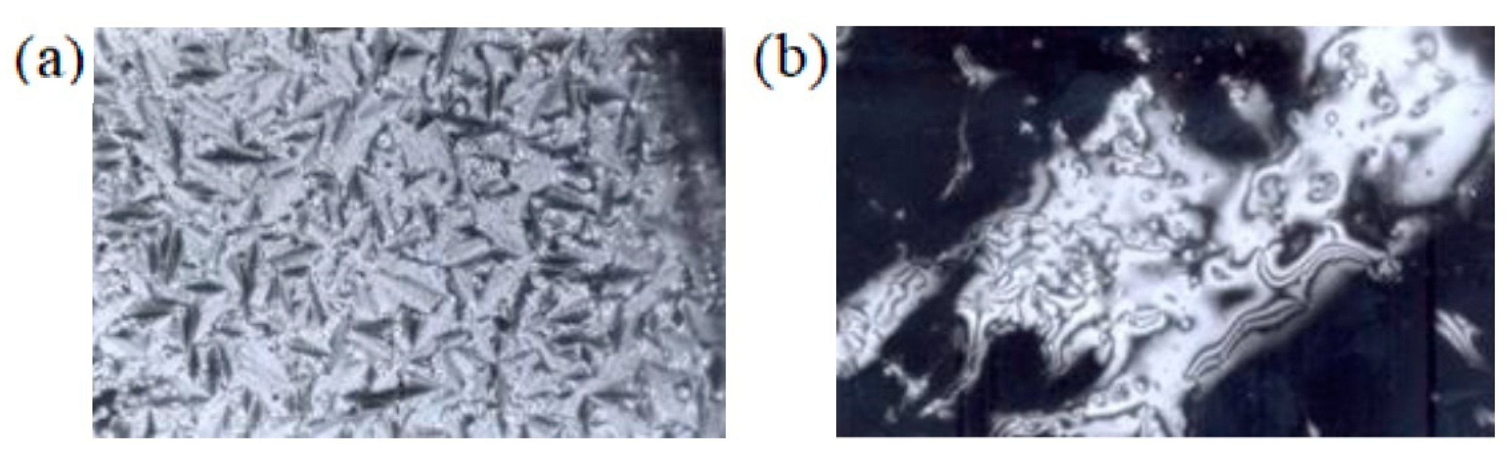 Polymers 14 01252 g003 Polymers 14 01252 g003