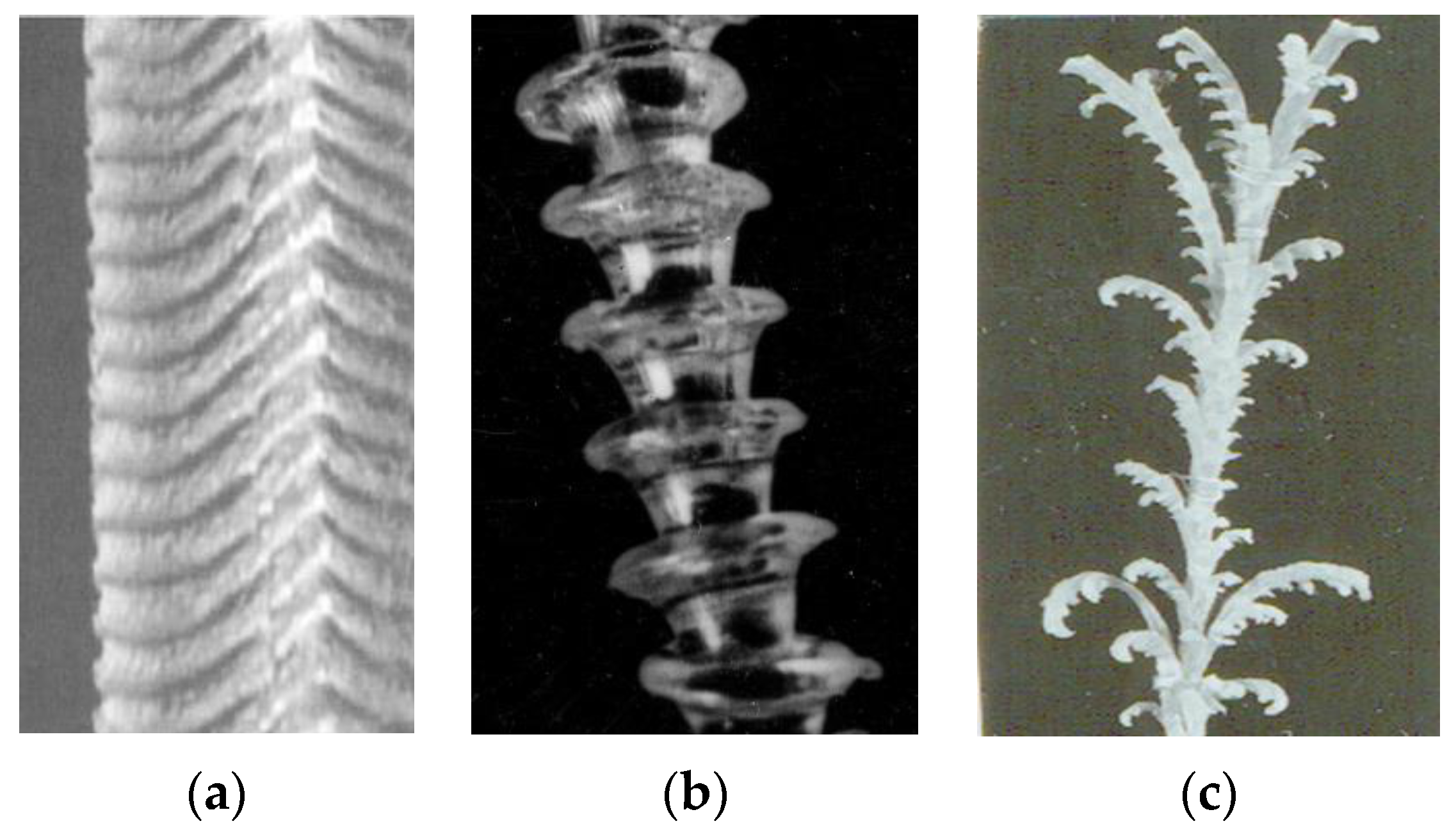Polymers 14 01262 g003