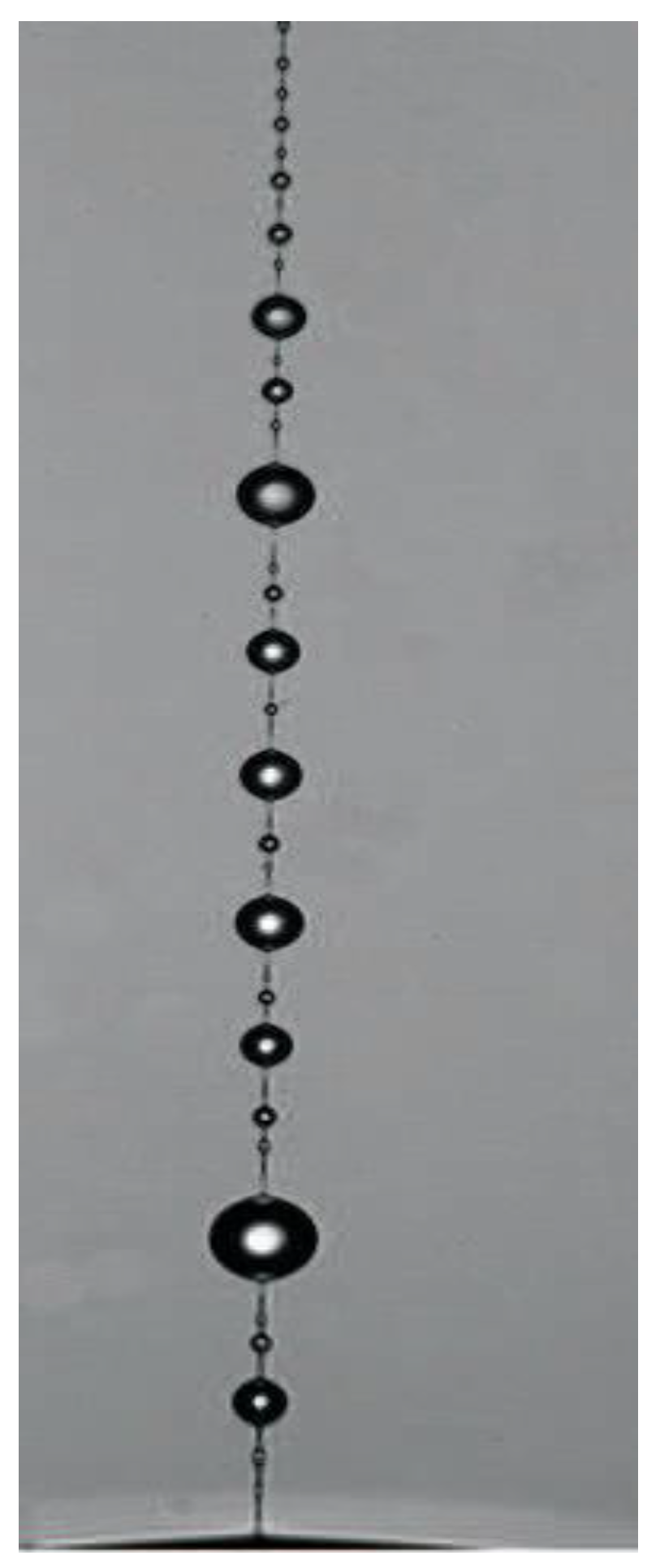 Polymers 14 01262 g032