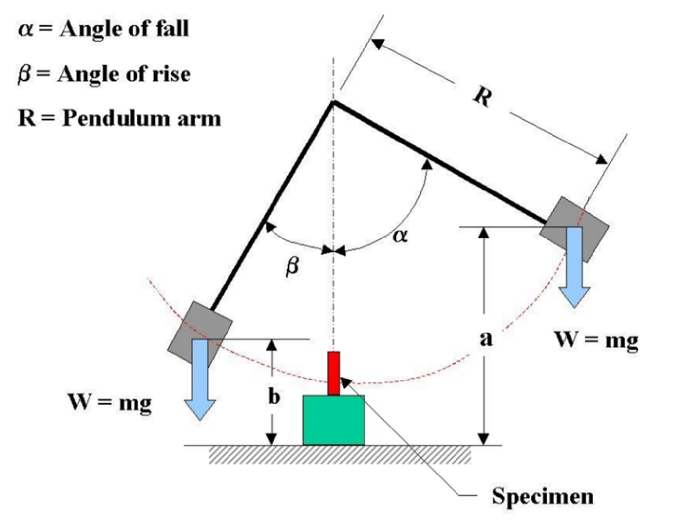 Polymers 14 01273 g004