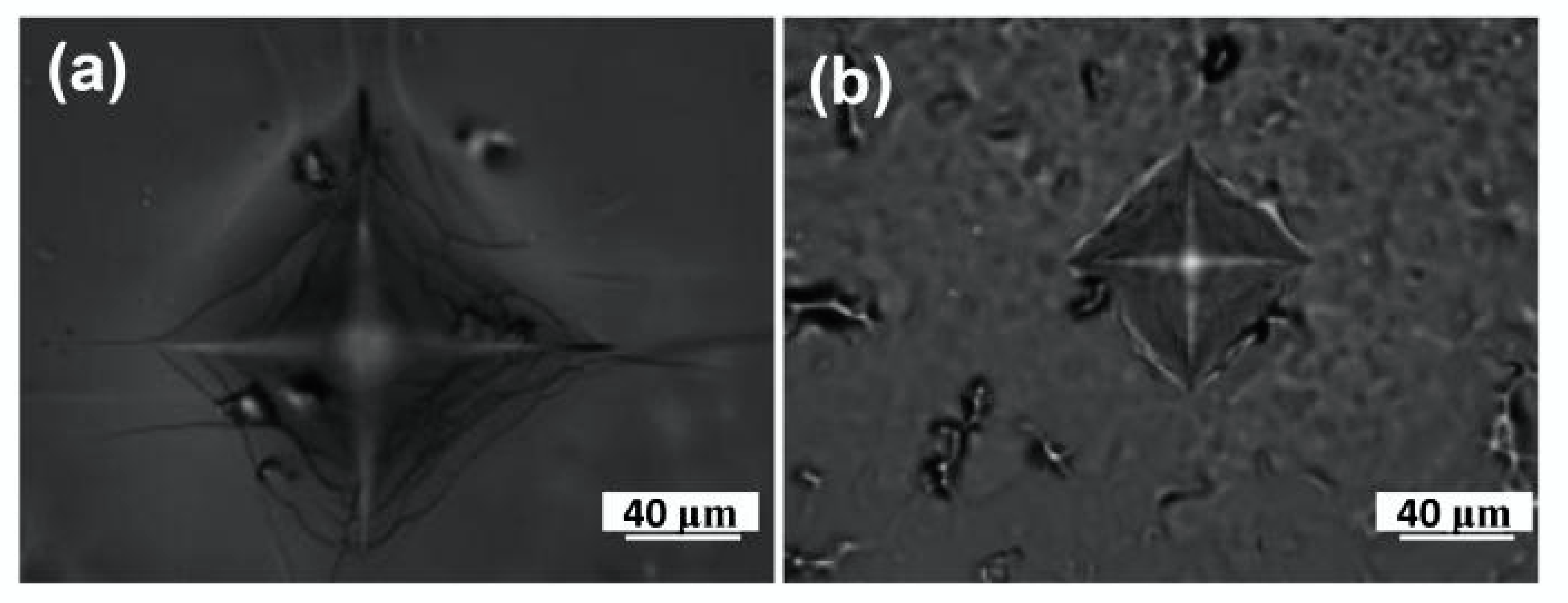 Polymers 14 01274 g005