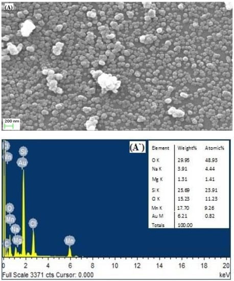 Polymers | Free Full-Text | Synthesis Of Alginate Nanogels With ...