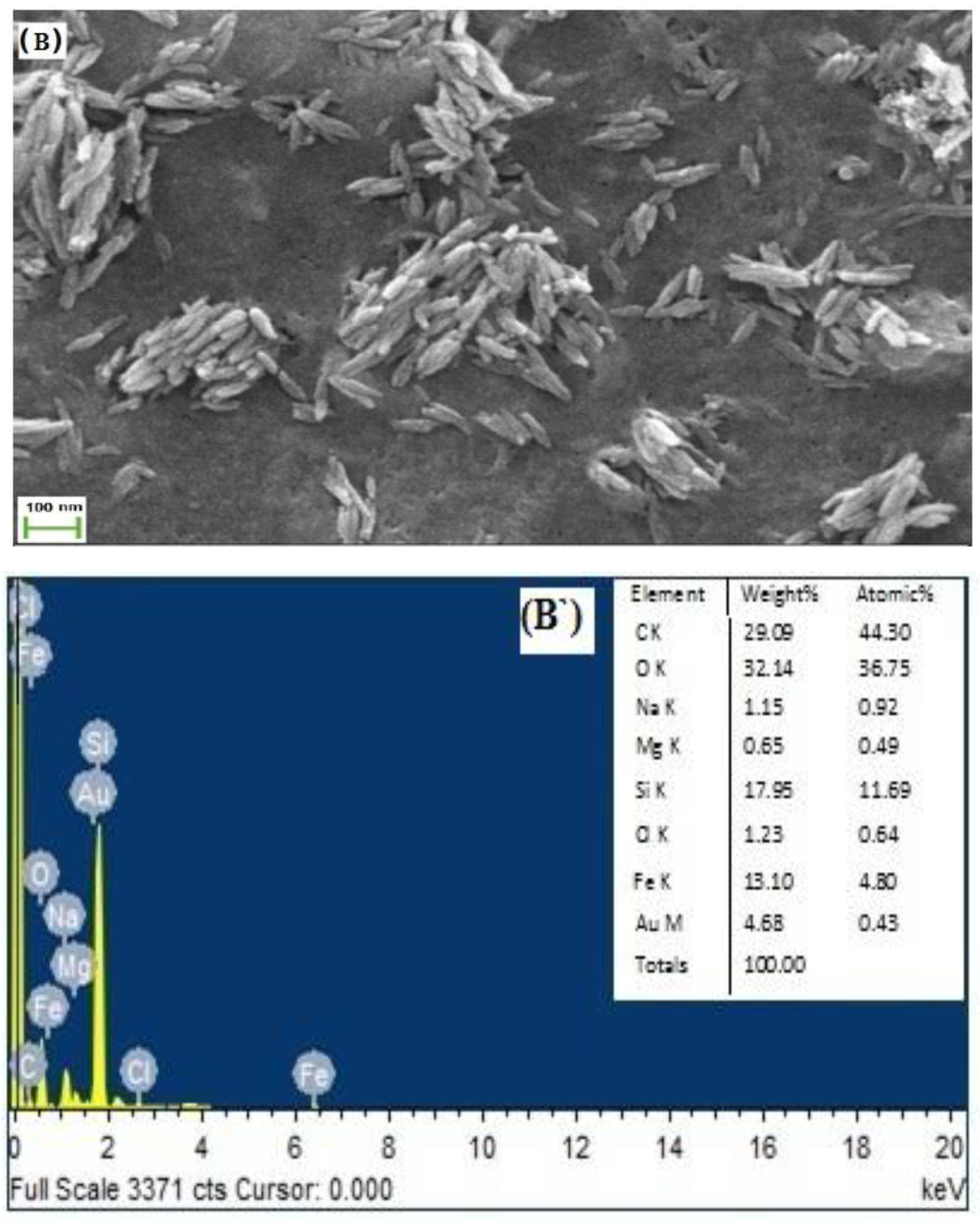 Polymers 14 01277 g004b Polymers 14 01277 g004b
