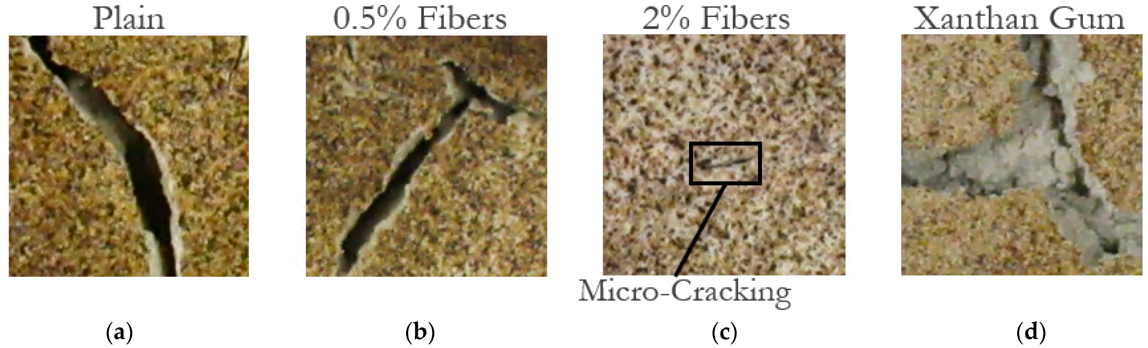 Polymers 14 01318 g005